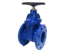 Resilient Seated Gate Valve with Bubble-Tight Sealing Low Operating Torque and PN 16 Pressure Rating in Ductile Iron